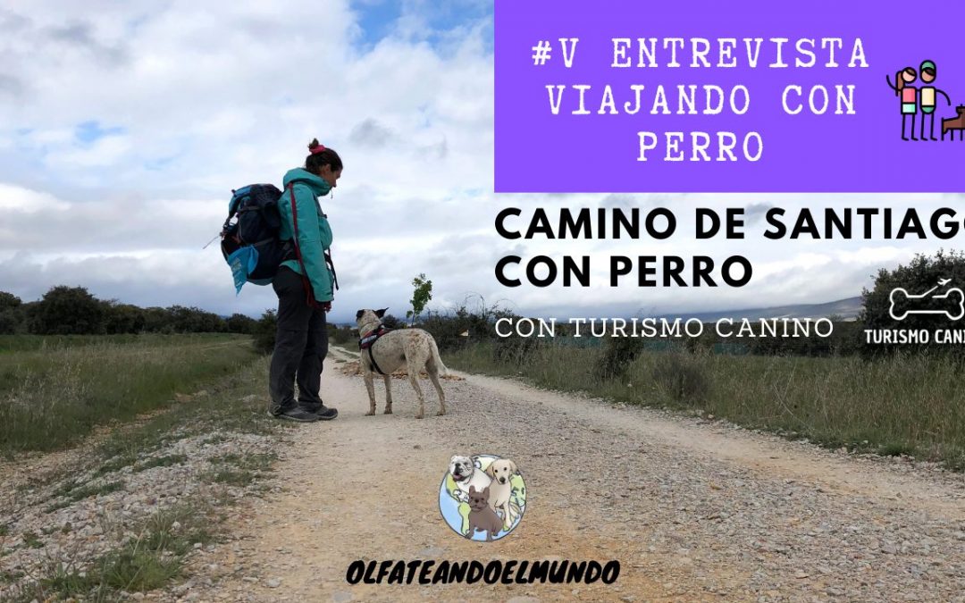 Camino de Santiago con perro